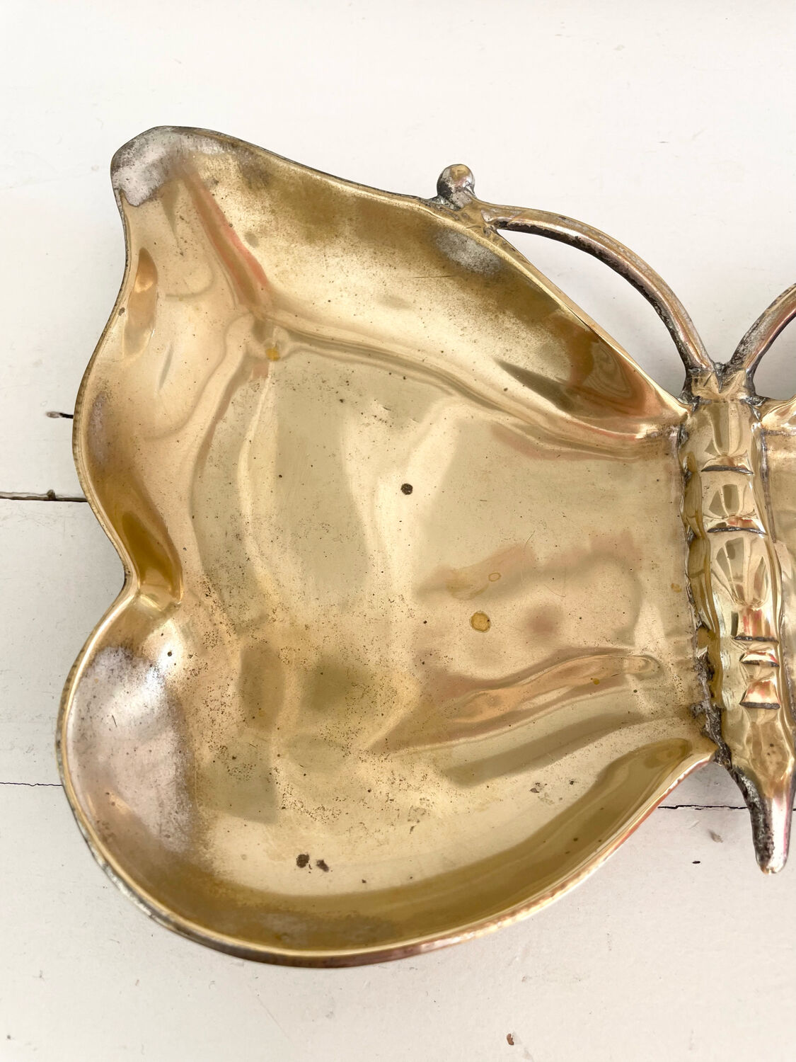 Empty butterfly brass pocket