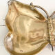 Empty butterfly brass pocket