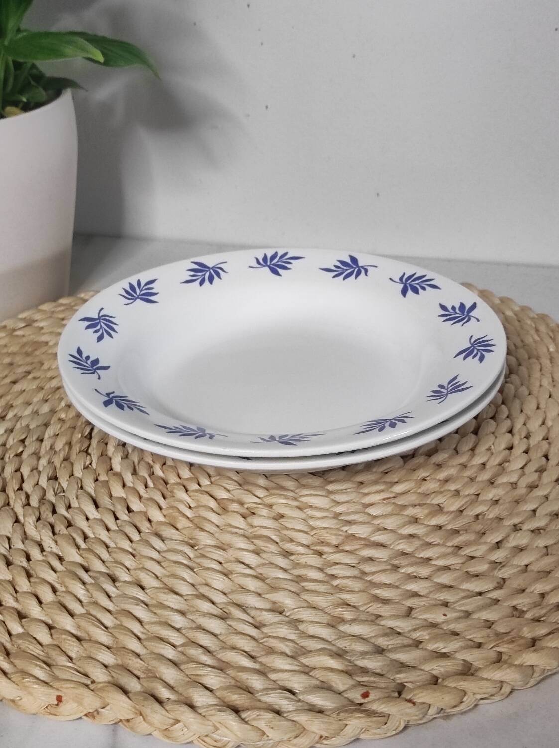 Blue leaf deep plates