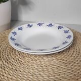 Blue leaf deep plates