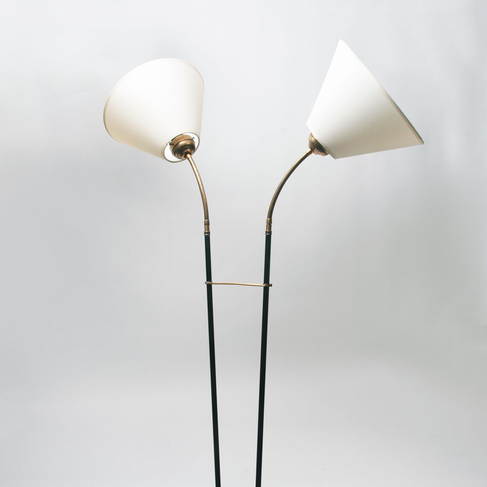 Floor lamp with two shades