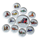 Dessert plates and their Gien earthenware dish illustrated by J. Charmoz automobile theme