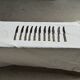 Lot de 11 couteaux anciens en acier inoxydable manches plaqués argent