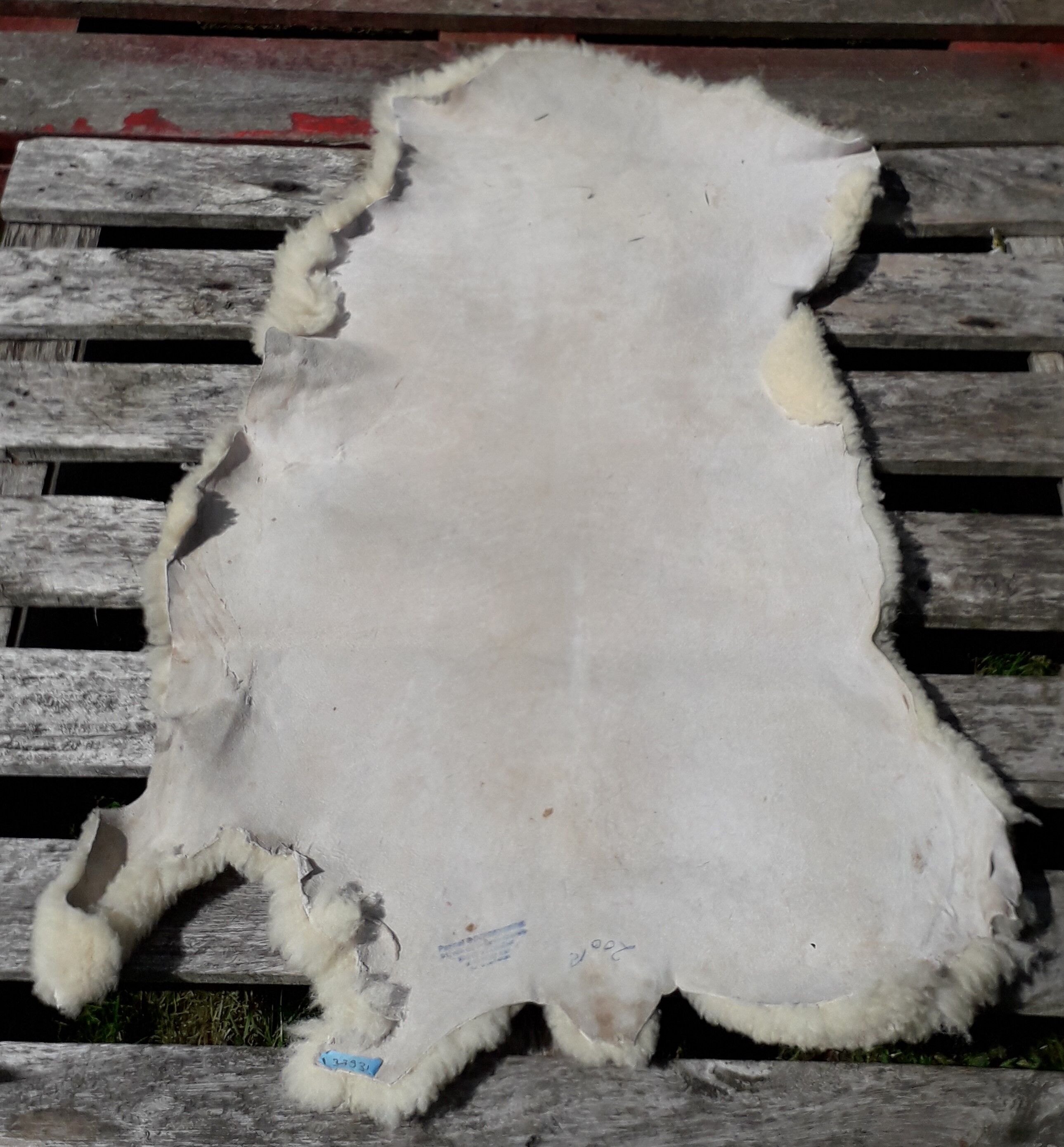 Sheepskin 100 x 56 cm