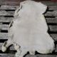 Sheepskin 100 x 56 cm