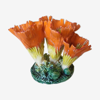 Potter's vase corals