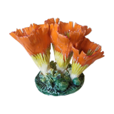 Potter's vase corals