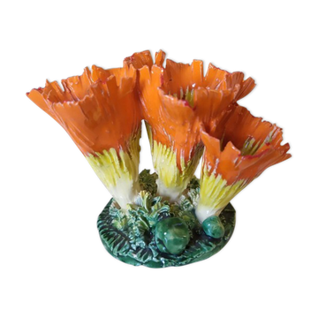Potter's vase corals