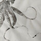 Original print of an octopus