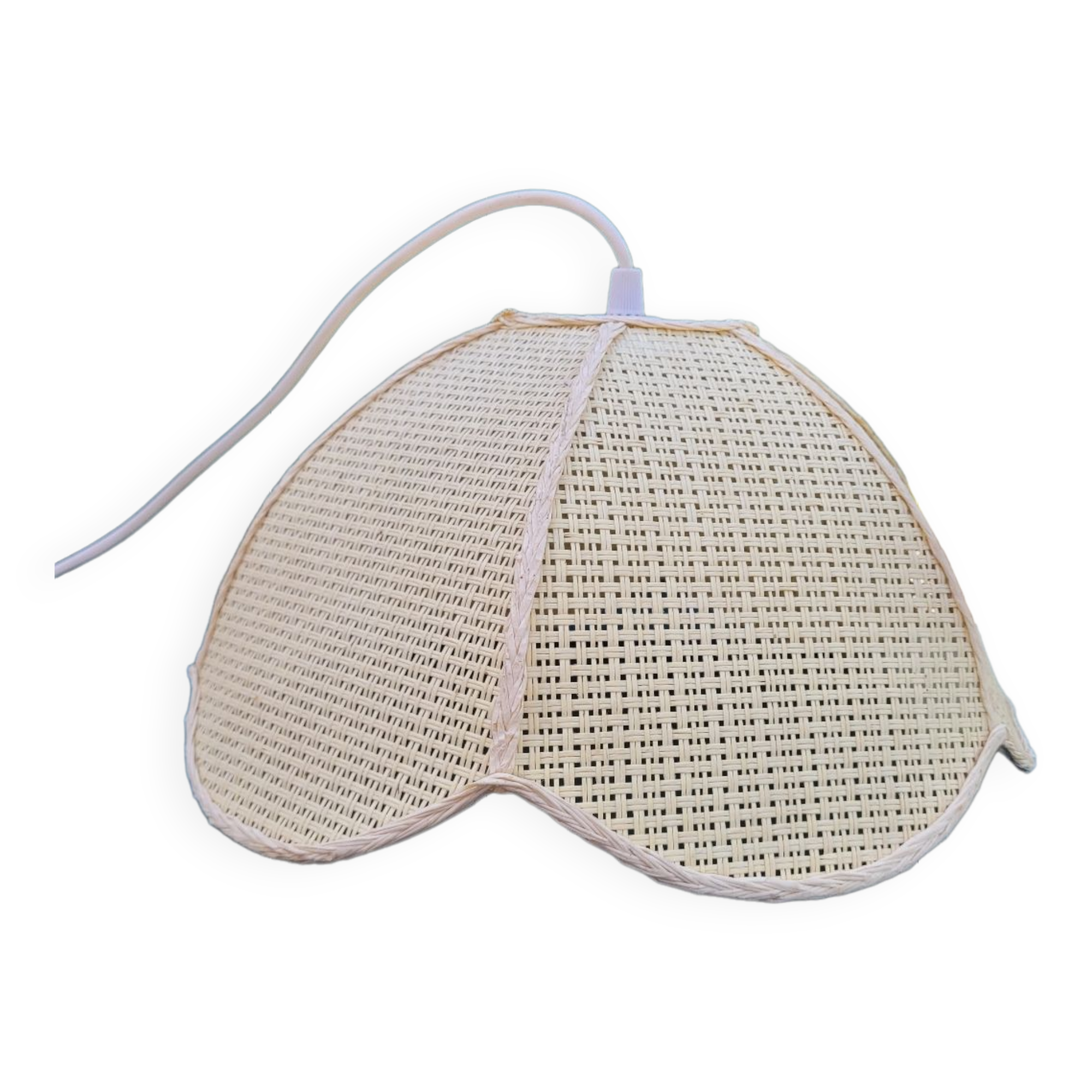 Suspension in canning