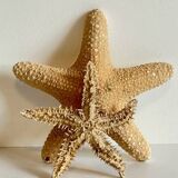 Vintage starfish