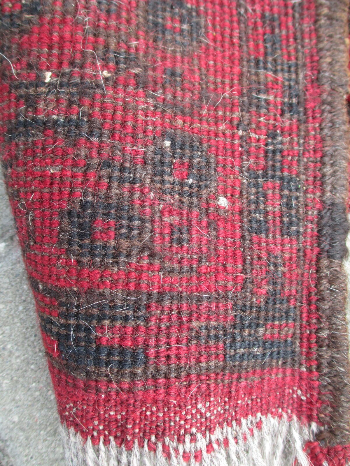 Carpet 270x188, Afghanistan, 1960s