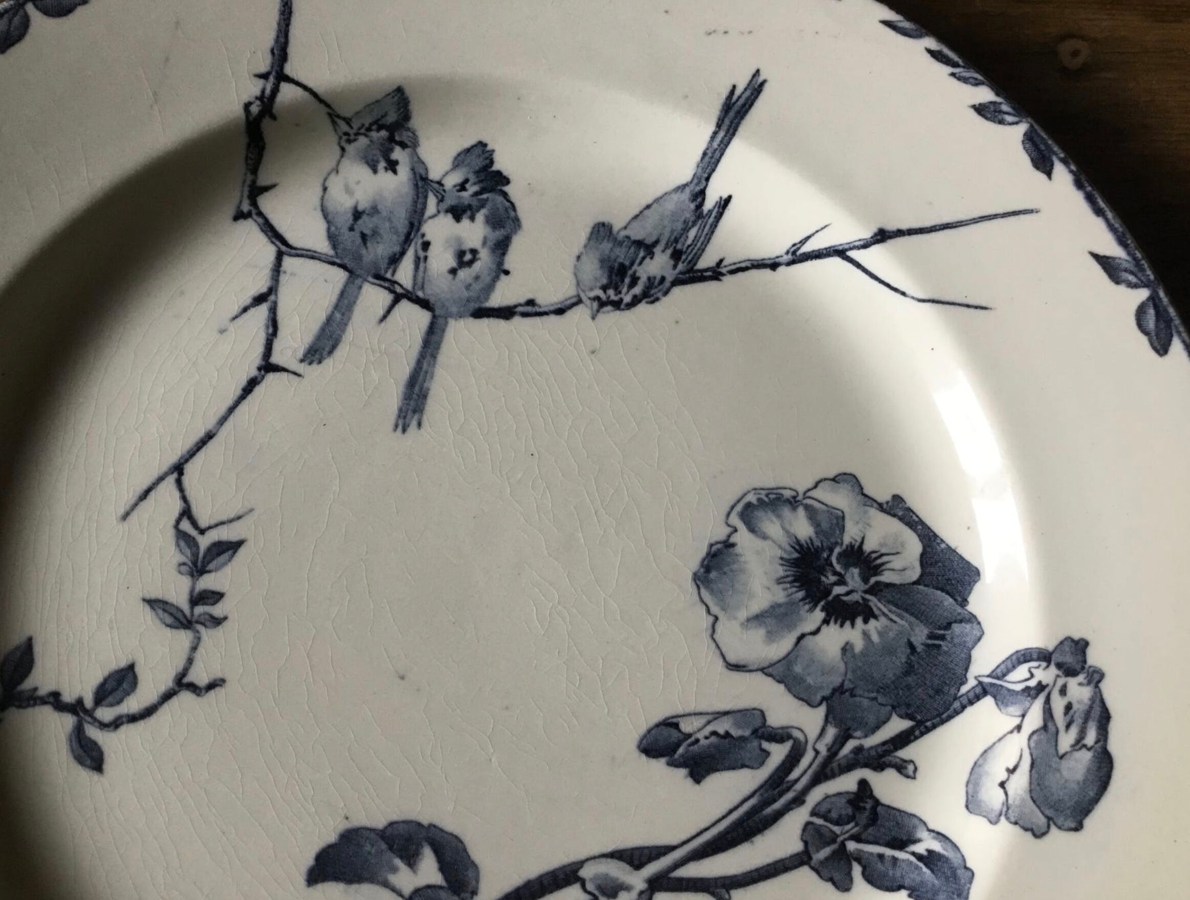 Oxford Choisy the King Plates