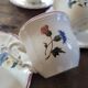 Rustic cups Digoin Sarreguemines 1930