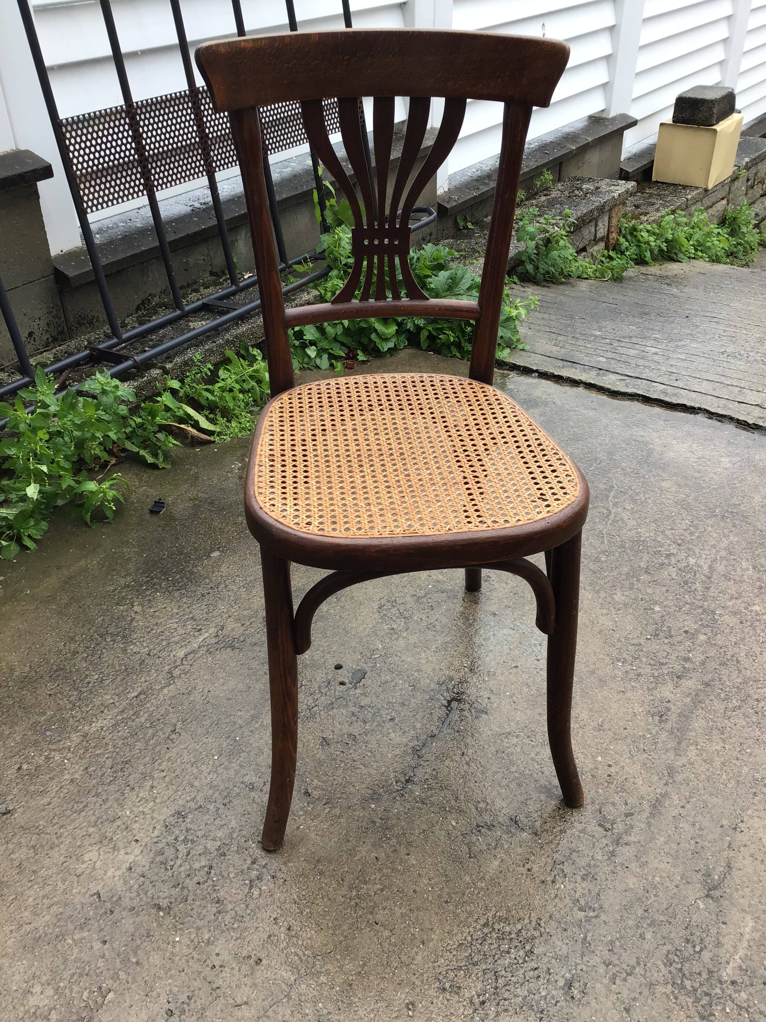 6 chaises bistrot cannées signées Fischer