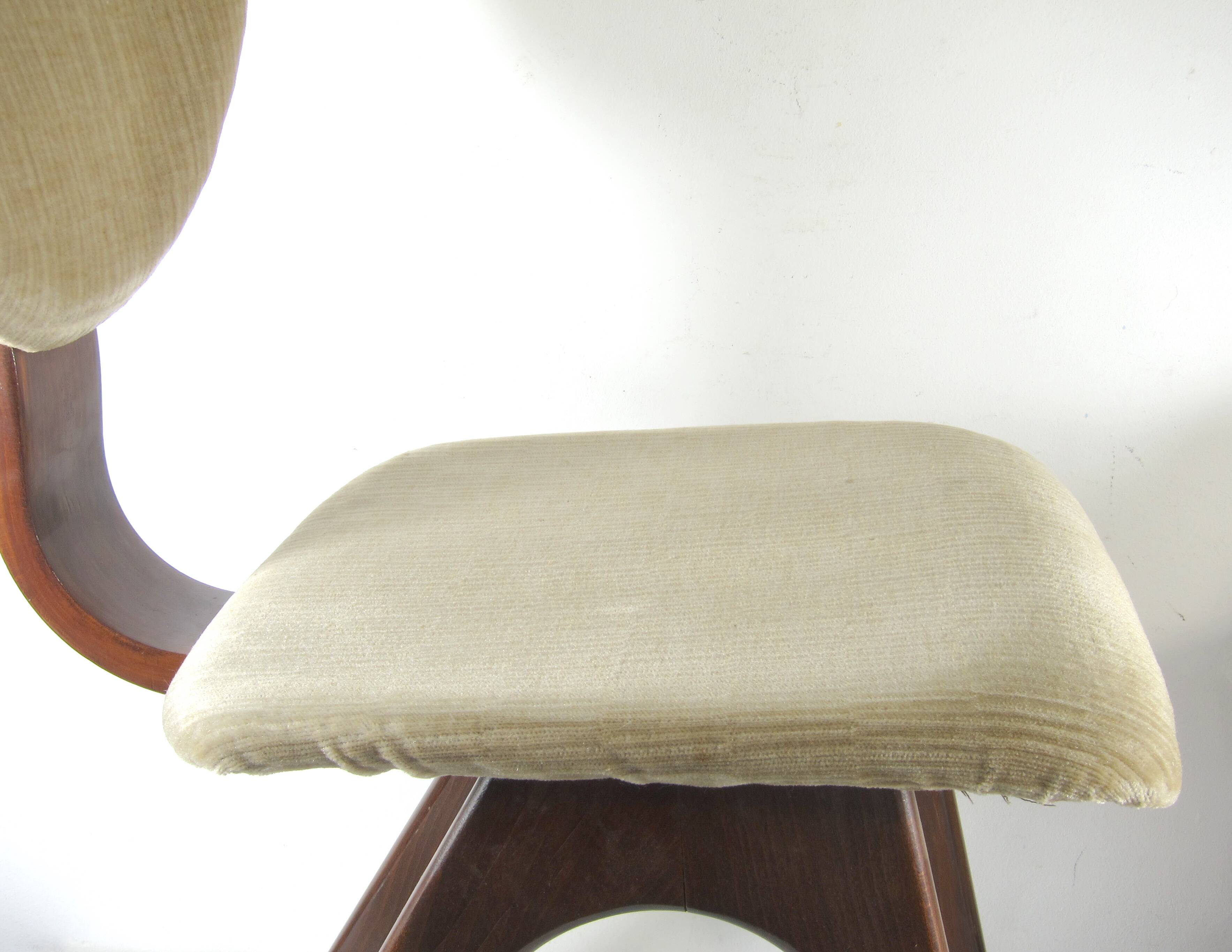 Fifties vintage plywood dining chairs