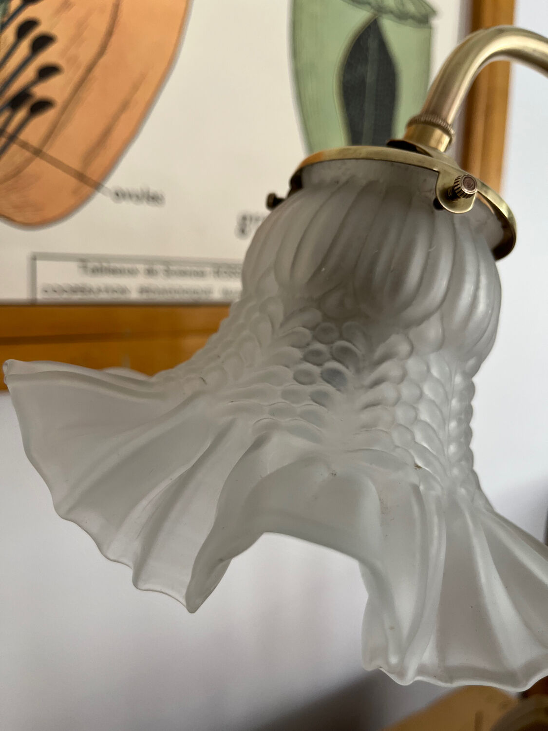 1900 adjustable swan neck lamp