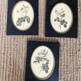 Set of three frames medallions
