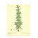 Old illustration 1959 - Rosemary - vintage botanical plate herbs