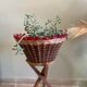 Vintage plant stand