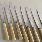Set of 12 antique knives in green case