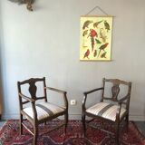 Pair of antique armchairs