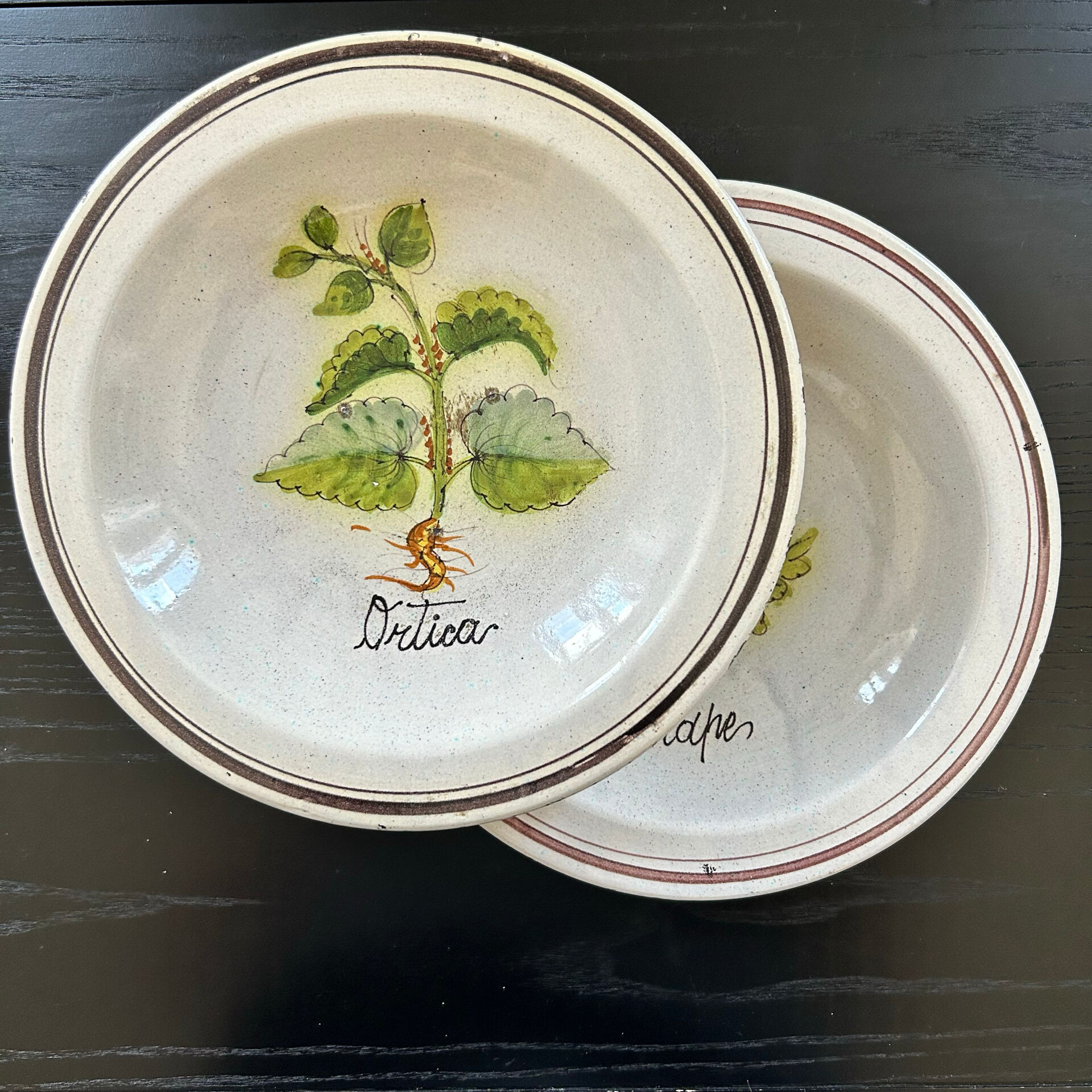 Collection de 2 plats botaniques made in Italy