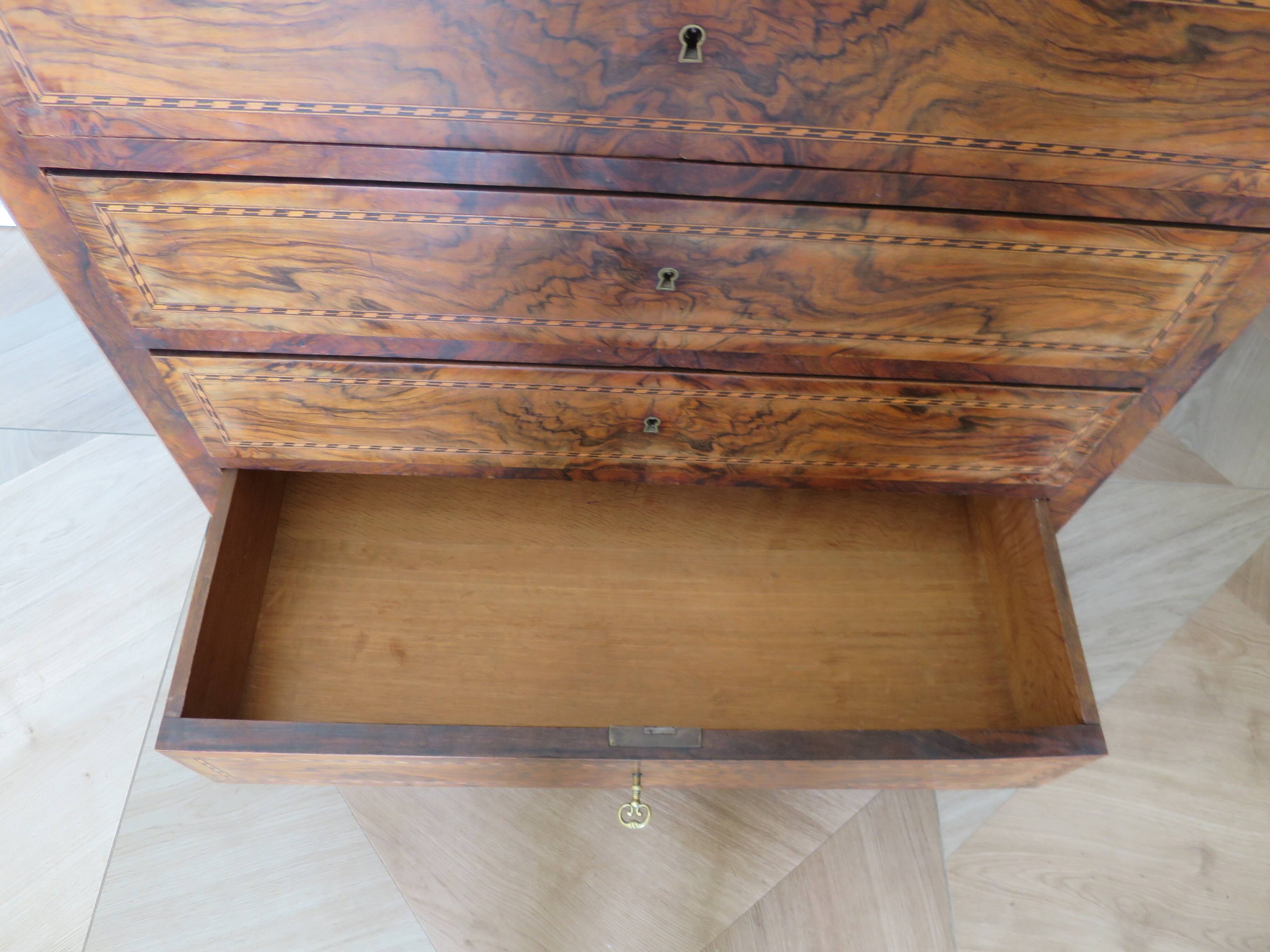 Antique oak burr chest of drawers - 4 drawers - marquetry inlay from the early 21st century