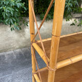 Vintage rattan standing