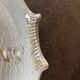 Fish plates signed Guillot - Vallauris