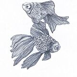 Illustration "Buller " A3