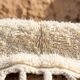 Berber Moroccan rug white 200/300cm