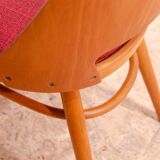 Mid Century dining chairs by Radomír Hofman, 1960´s, set of 6