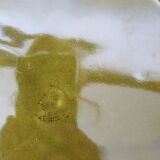 Six plates earthenware of St Amand green-olive