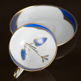Cup and saucer set