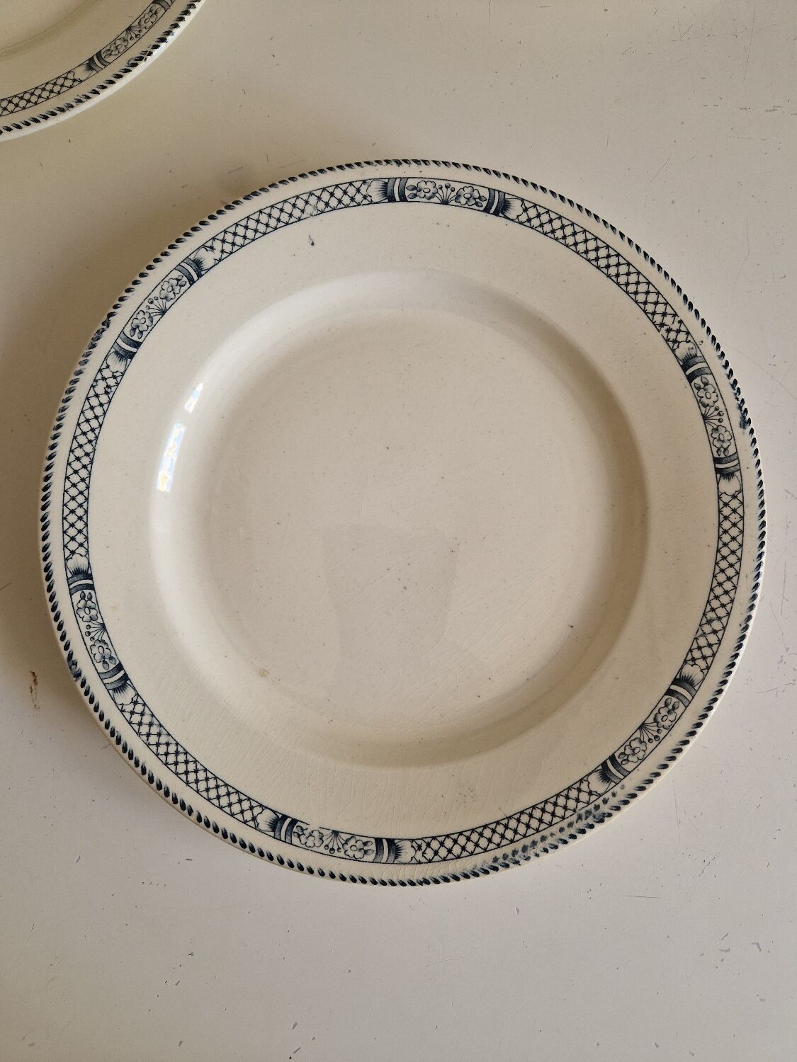 Lot de 12 assiettes plates terre de fer salins modèle Vauban
