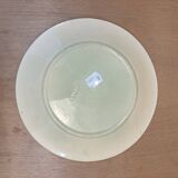 Salins slip plate (B)