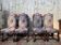 Set of 8 chairs in High Renaissance style.