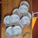 Set of 10 plates in iron earth
