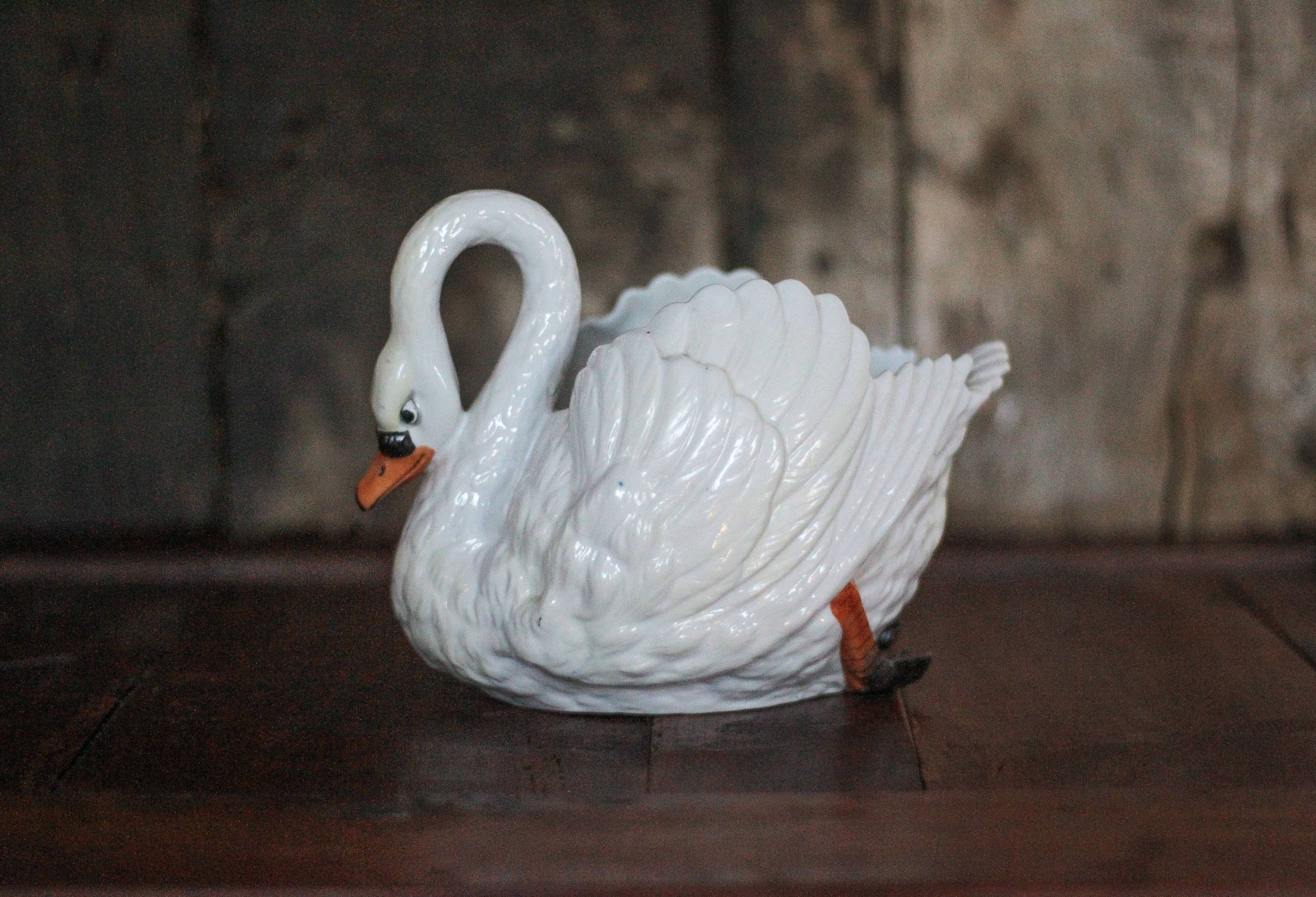 Ceramic swan planter, swan pot, trinket dish.