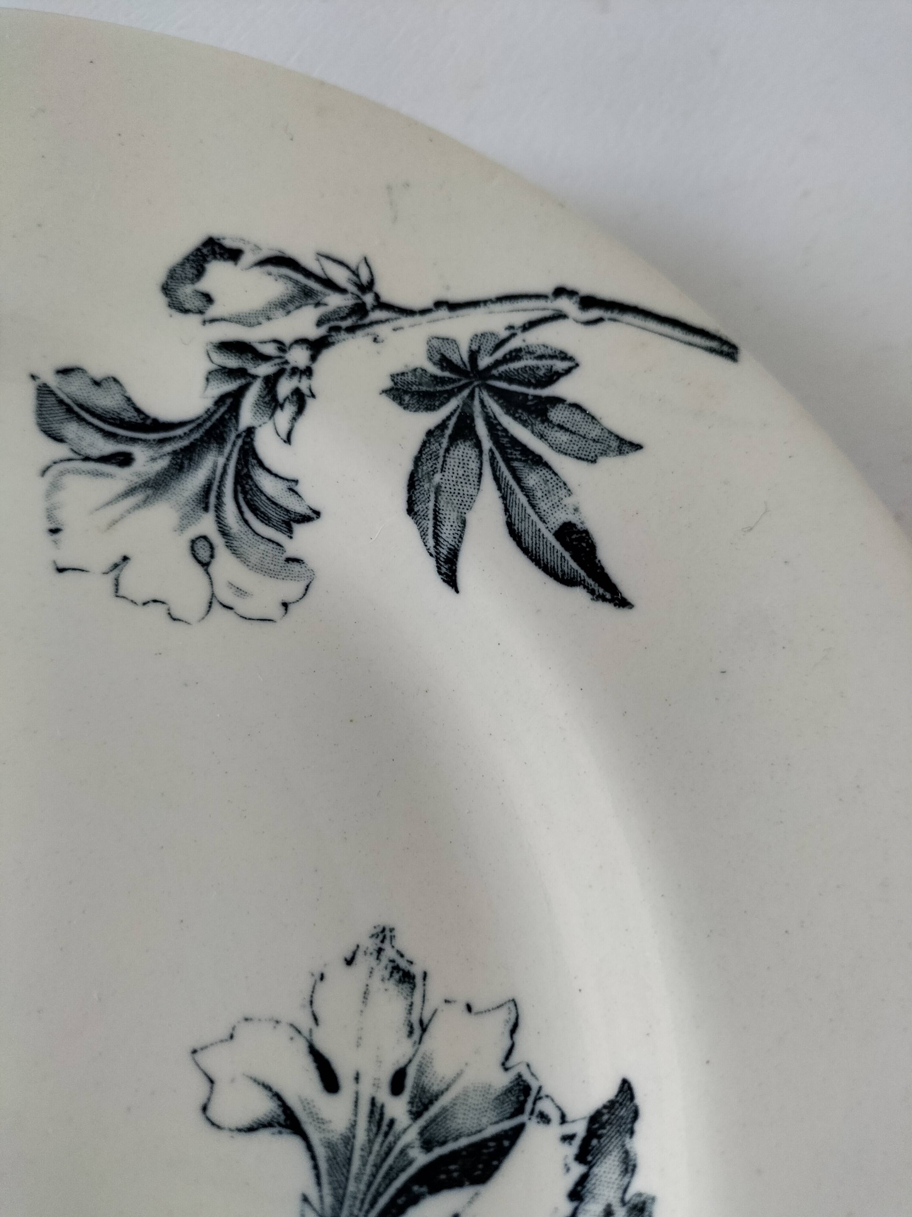 Antique plate, “Azaléa” model – KG Lunéville (circa 1930)