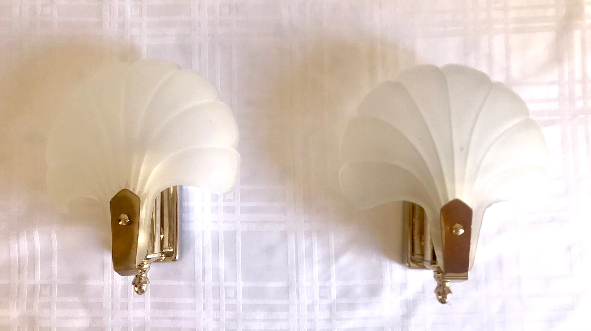 Pair of shell sconces