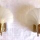 Pair of shell sconces