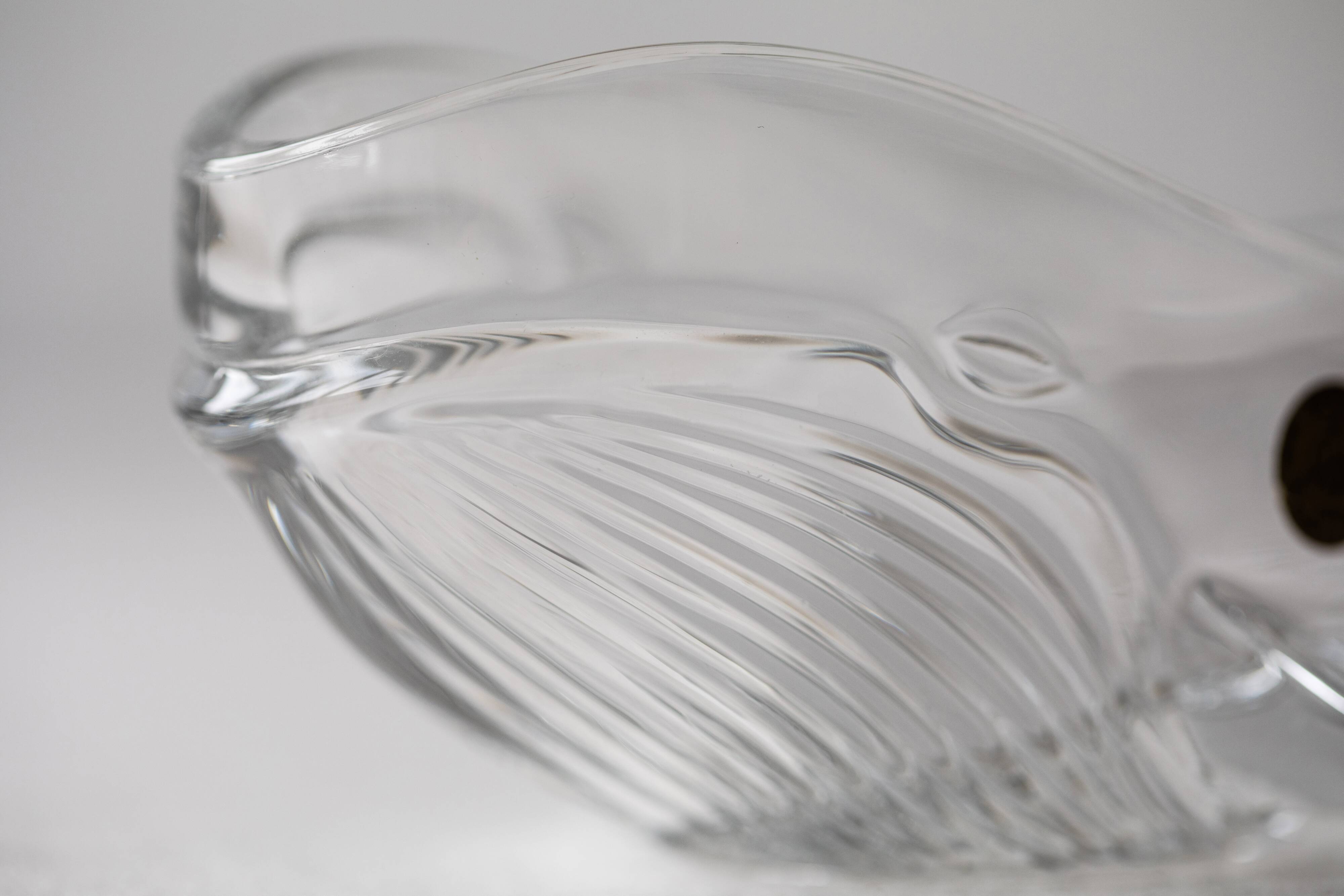 Arques crystal whale pocket