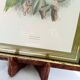 Tableau oiseau Lori