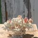White coral tree with shell