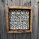 Tamis ancien en bois “dentelle”