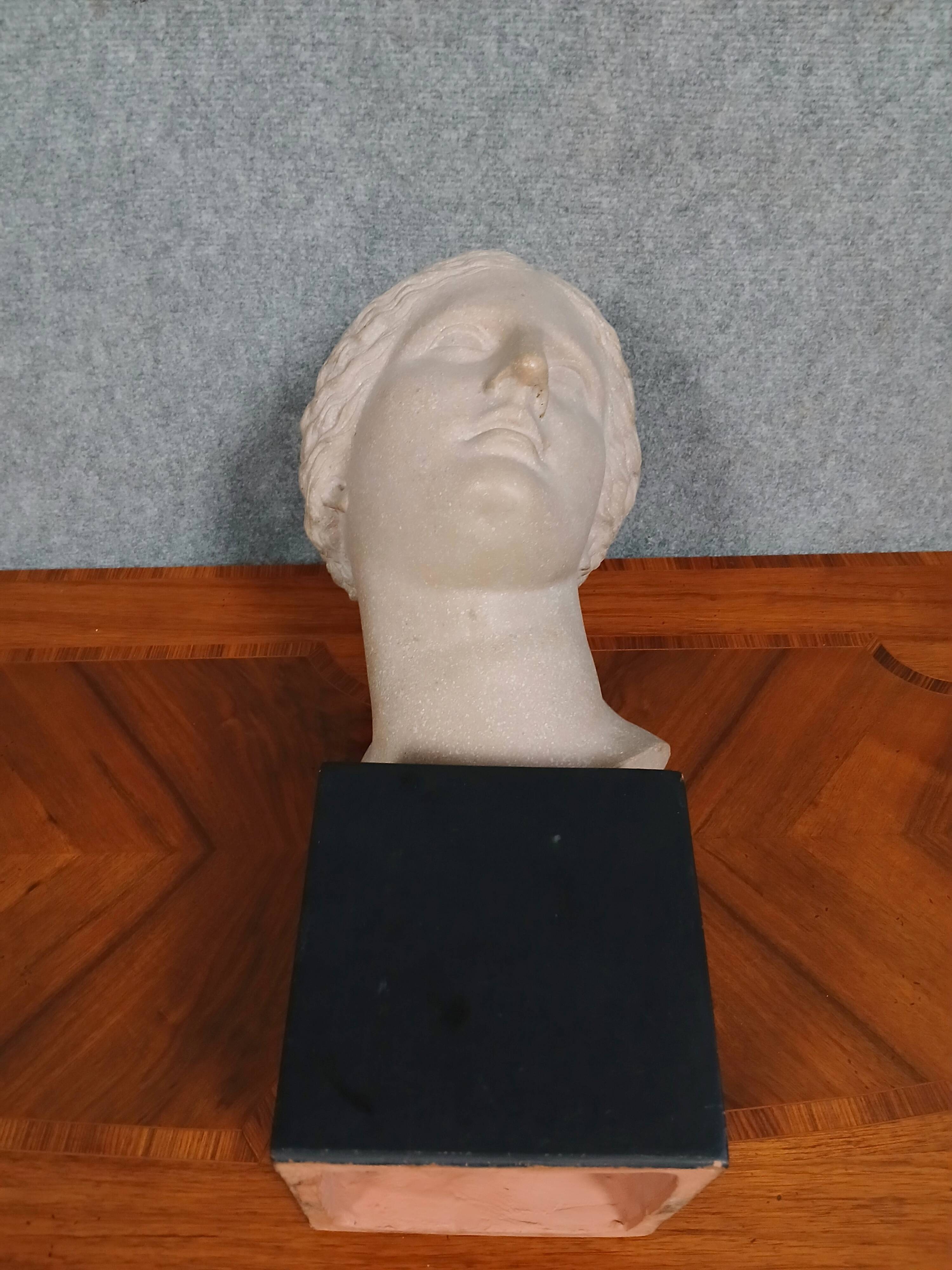Rare terracotta sculpture depicting the Head of Aphrodite of Cnidus by Praxiteles