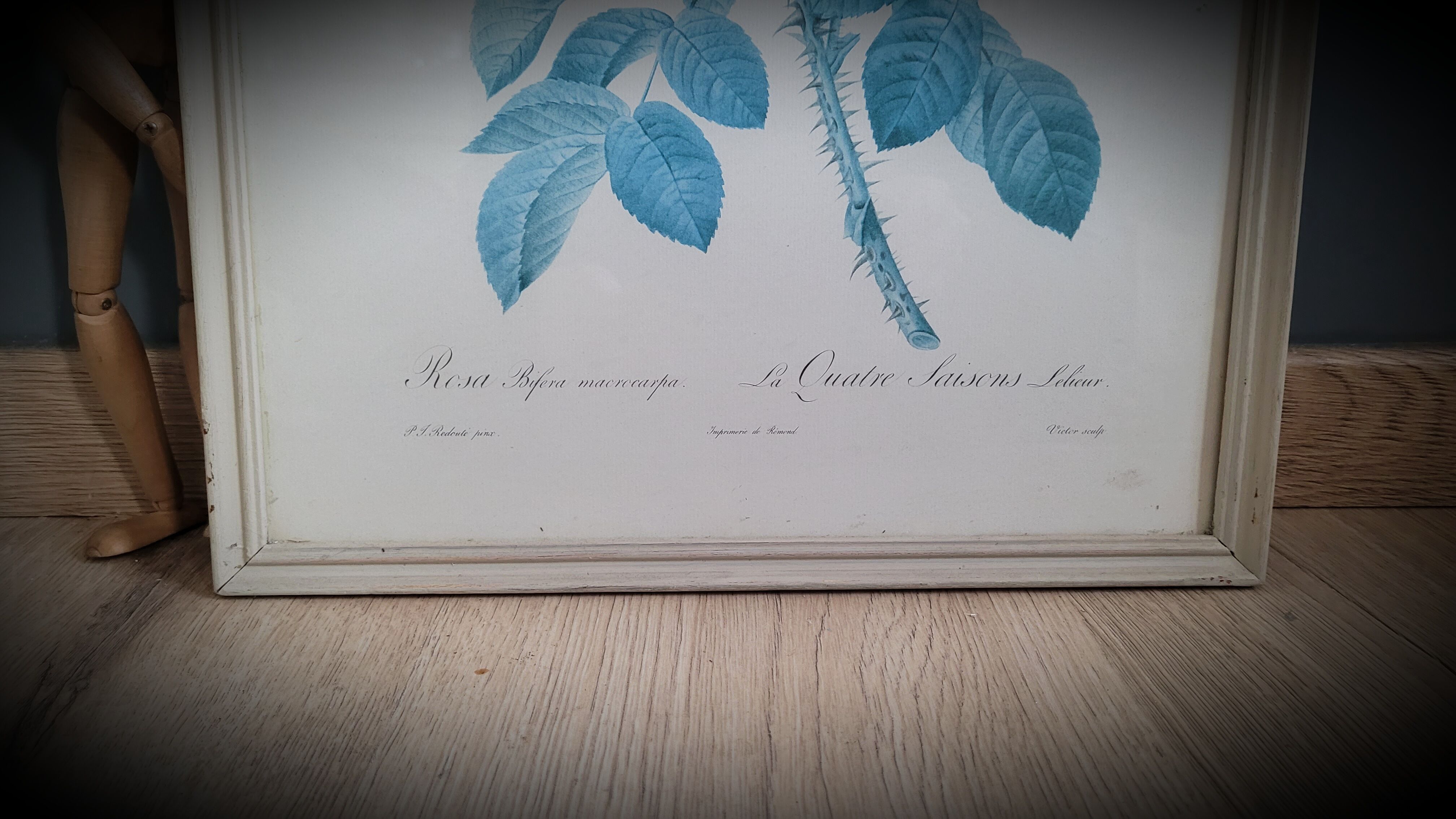 Litho rose Four seasons Lelieux