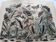 Gravure de 1886 - Papillons d'Europe (4) - Lithographie ancienne, planche